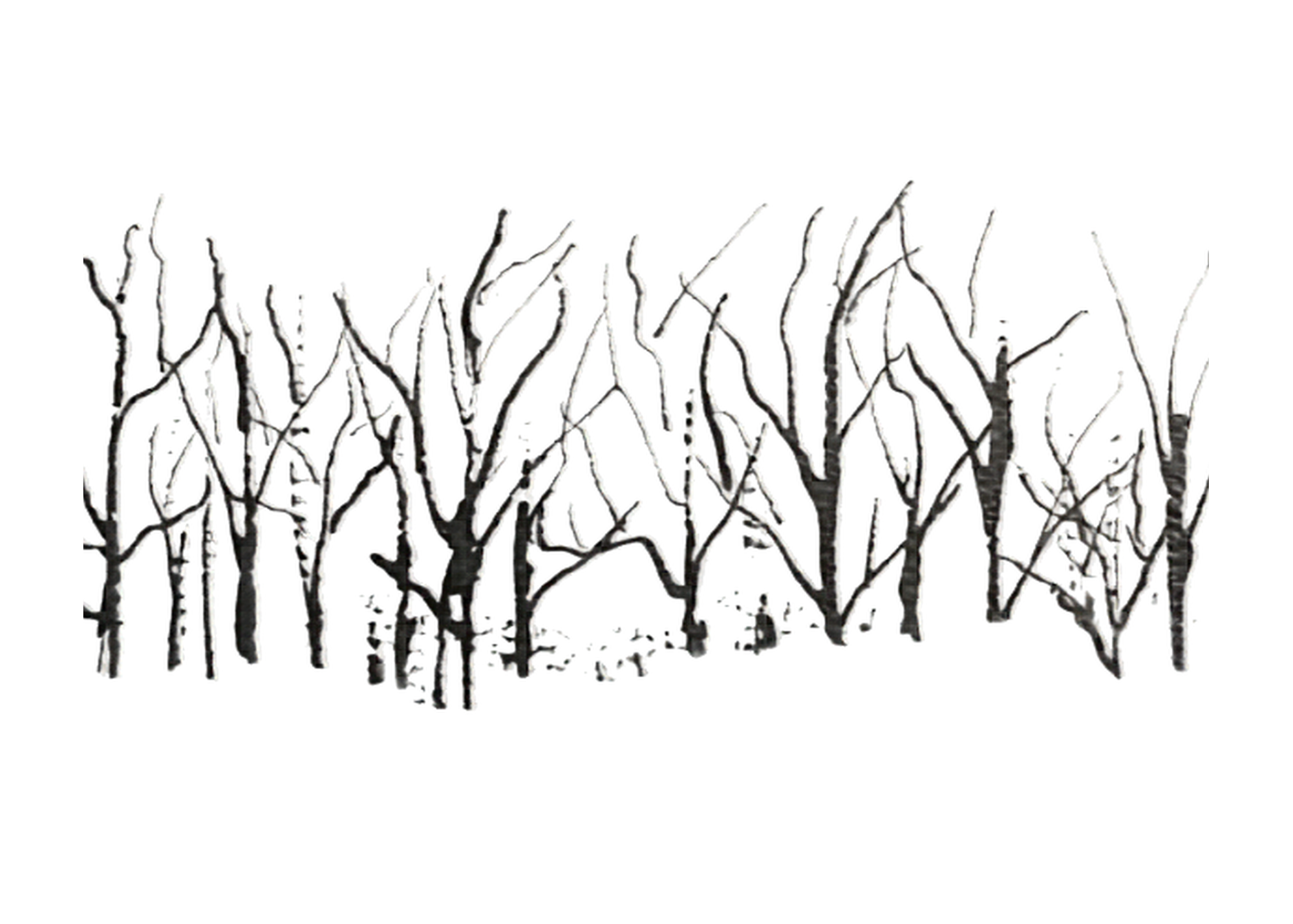 Branches